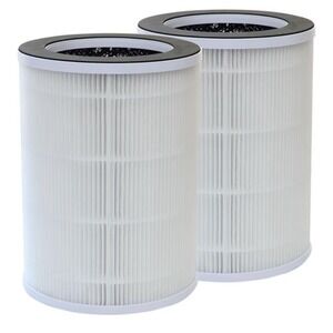 2 PUREBURG P100-RF Replacement Filters Compatible with Welov P100 P100 Pro Air